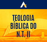 Teologia B&iacute;blica do N.T. II